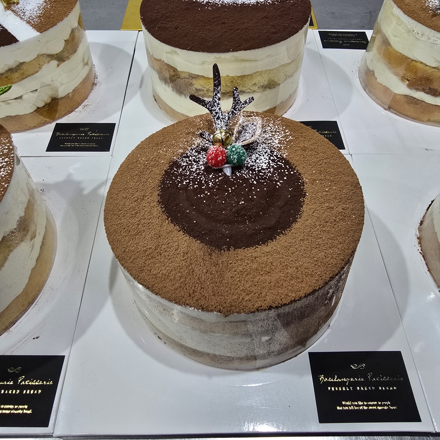 KakaoTalk_20250115_113236531_01.jpg